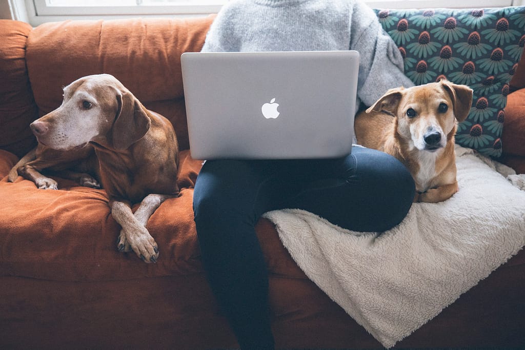 7 social-first marketing elements you need to grow your brand faster